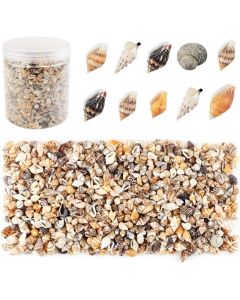 Weoxpr 2000 Pcs Tiny Sea Shells Mixed Ocean Beach Spiral Seashells Craft Charms for Home Decorations, Beach Theme Party, Candle Making, Wedding Decor, DIY Crafts, Fish Tank and Vase Filler(5 - 12mm)